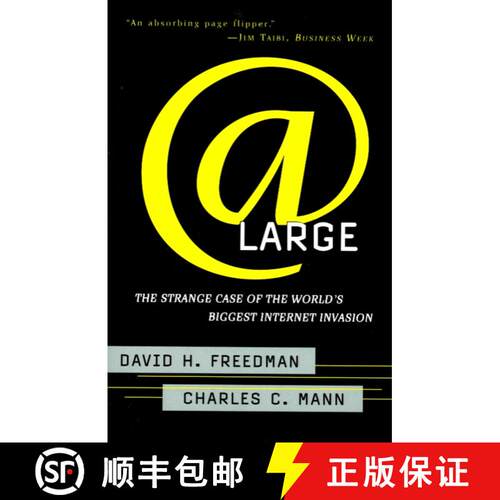 【3-4周达】At Large: The Strange Case of the World's Biggest Internet Invasion [9780684835587]