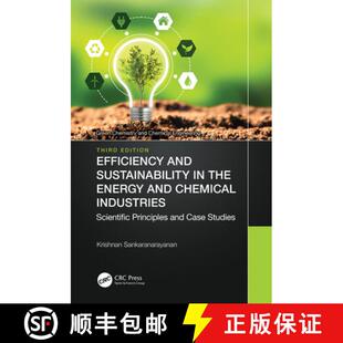 Efficiency 9781032302980 Principles... Energy 4周达 Chemical Sustainability and Scientific Industries the