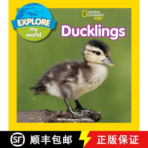 预订 Explore My World: Ducklings [9781426327155]