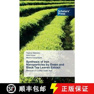 预订 Synthesis of Iron Nanoparticles by Green and Black Tea Leaves Extract [9786138968504]