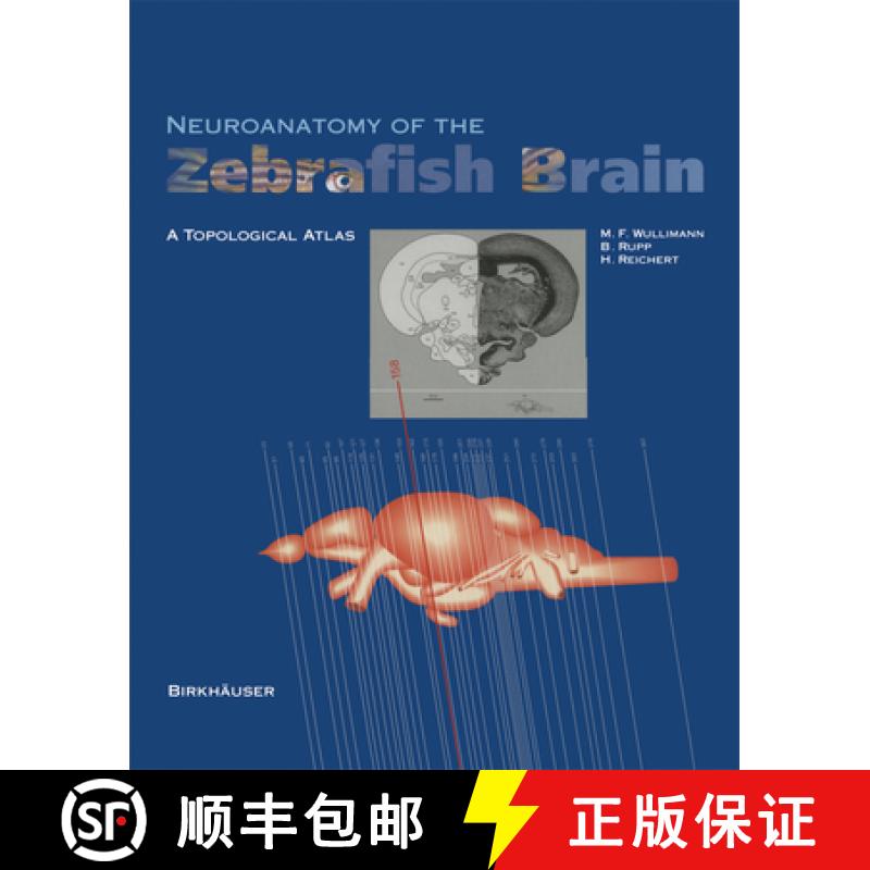 【3-4周达】Neuroanatomy of the Zebrafish Brain: A Topological Atlas [9783034898522]