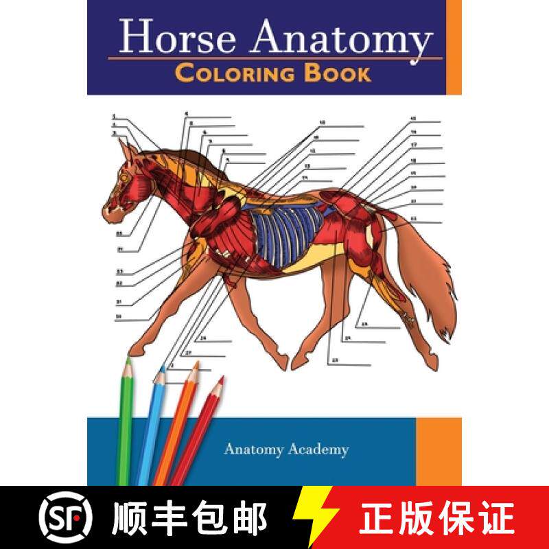 预订 Horse Anatomy Coloring Book: Incredibly Detailed Self-Test Equine Anatomy Color workbook | Perfe... [9781914207068]