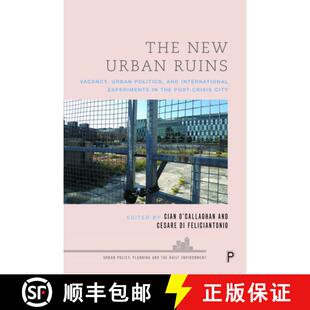 Ruins the Vacancy Urban The Post Politics Cr... International New Experiments 3周达 9781447356875 and