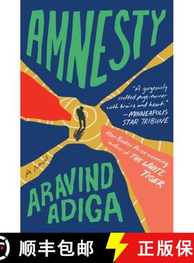 【3-4周达】Amnesty: A Novel [9781982127305]