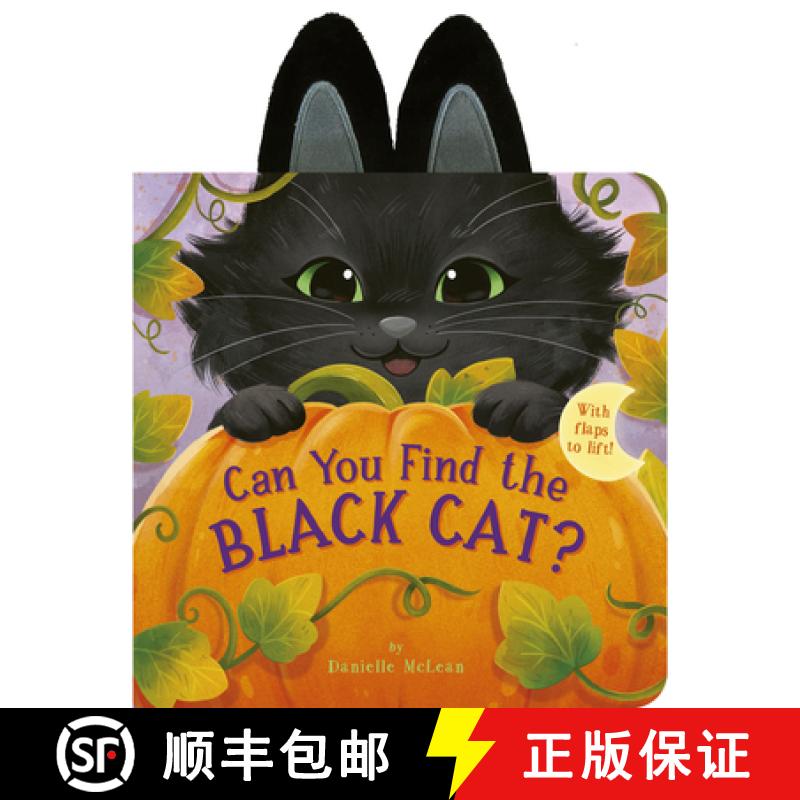 【3-4周达】Can You Find the Black Cat?: With Flaps to Lift! [9781664351561]