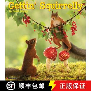 9781549251252 4周达 Calendar Wall 2026 Squirrelly Gettin