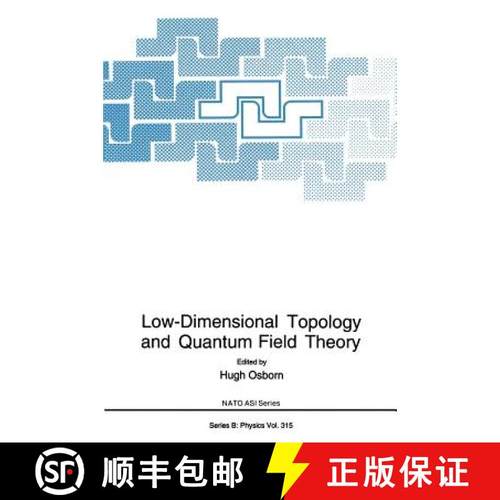 【3-4周达】Low-Dimensional Topology and Quantum Field Theory [9780306445781]