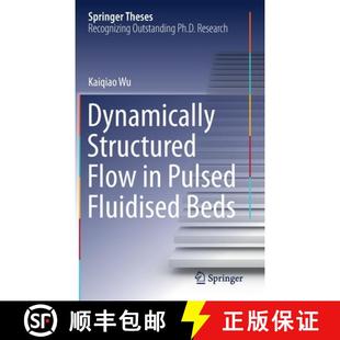9783030687519 4周达 Beds Fluidised Pulsed Flow Structured Dynamically