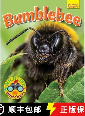 预订 Wildlife Watchers: Bumblebee [9781911341222]