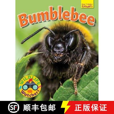 预订 Wildlife Watchers: Bumblebee [9781911341222]