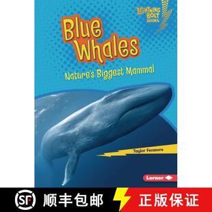 Blue Whales Mammal 9798765608395 Biggest 4周达 Nature