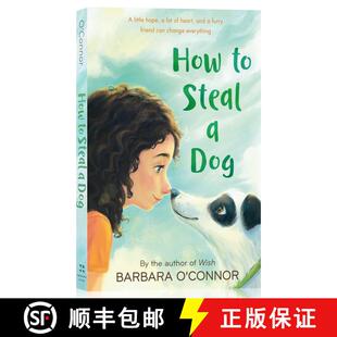 现货 偷狗的完美方法 How to Steal a Dog [9780312561123]