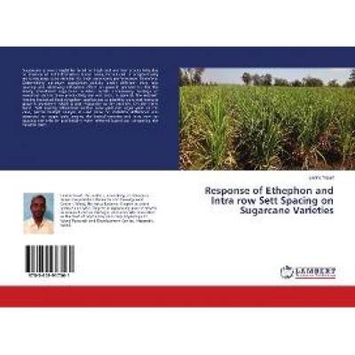 【4周达】Response of Ethephon and Intra row Sett Spacing on Sugarcane Varieties [9783659917561]