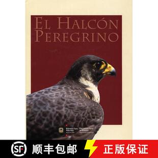 预订 精装 El Halcon Peregrino [The Peregrine Falcon] [9788477523406]