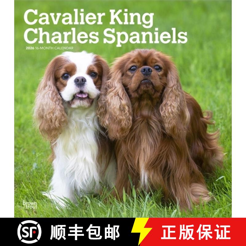 【2-3周达】Cavalier King Charles Spaniels 2026 12 X 24 Inch (Hanging) Monthly Square Wall Calendar Pl... [9798330702824]