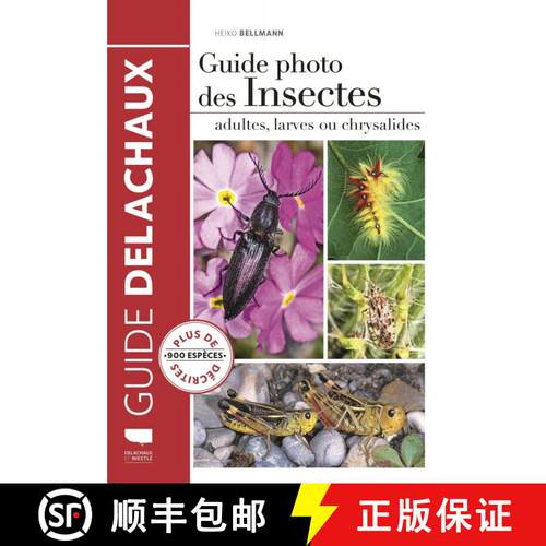 预订 Guide Photo des Insectes: Adultes, Larves ou Chrysalides [Insect Photo Guide: Adults, Larvae and... [9782603026465]