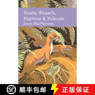 Stoats Weasels Martens Polecats 4周达 and 9780008334932