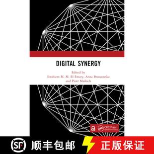 Synergy Digital 4周达 9781032576589