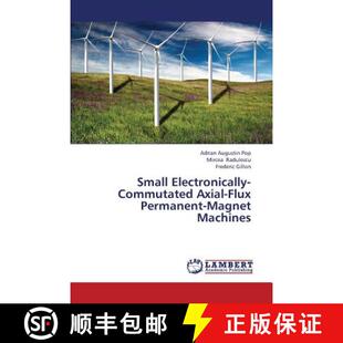 预订 Small Electronically-Commutated Axial-Flux Permanent-Magnet Machines [9783659426247]