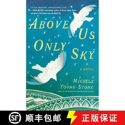 【3-4周达】Above Us Only Sky: A Novel [9781451657685]