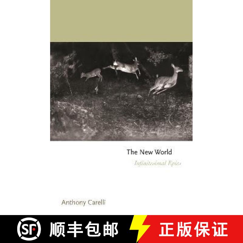 【3-4周达】The New World: Infinitesimal Epics [9780691218809]