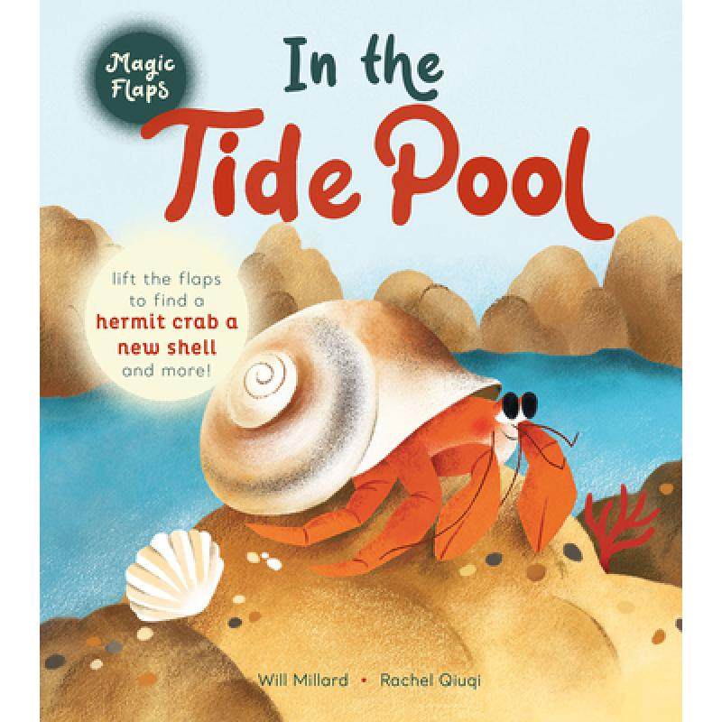 【4周达】in the tide pool: a magic flaps book [9781419771309]