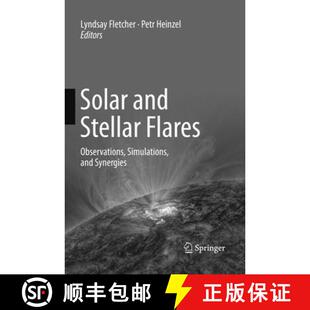 Flares 9789402414417 4周达 Synergies Simulations Observations Stellar and Solar