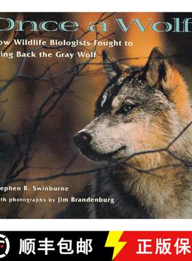 【3-4周达】Once a Wolf: How Wildlife Biologists Fought to Bring Back the Gray Wolf [9780618111206]