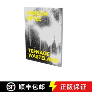 Cat. Teenage Kunstverein Vogelmann Anselm Kunsthalle 3周达 9783864423963 Reyle Heilbronn Wasteland