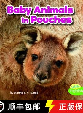 预订 Baby Animals in Pouches [9781515738336]