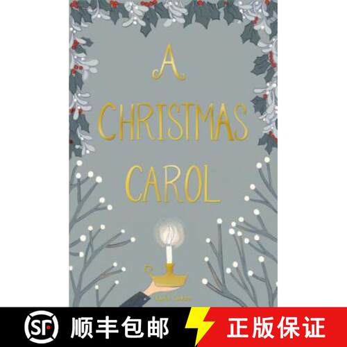 精装 A Christmas Carol [9781840227819]