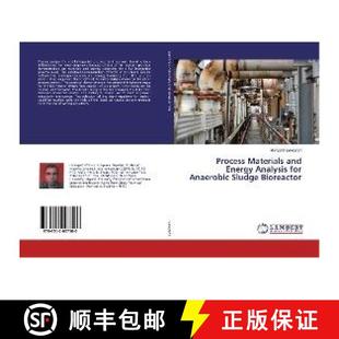 Bioreactor and for Anaerobic Analysis Materials Energy 9786202007580 预订 Sludge Process