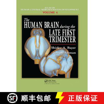 【3-4周达】The Human Brain During the Late First Trimester [9780367390945]