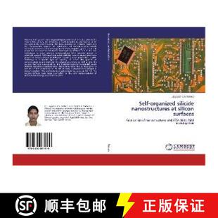 silicide nanostructures 9783330061910 Self surfaces organized silicon 预订