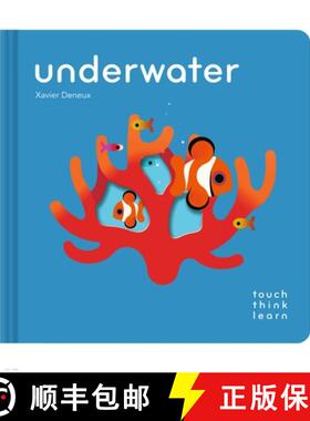 预订 Touchthinklearn: Underwater [9781797232478]