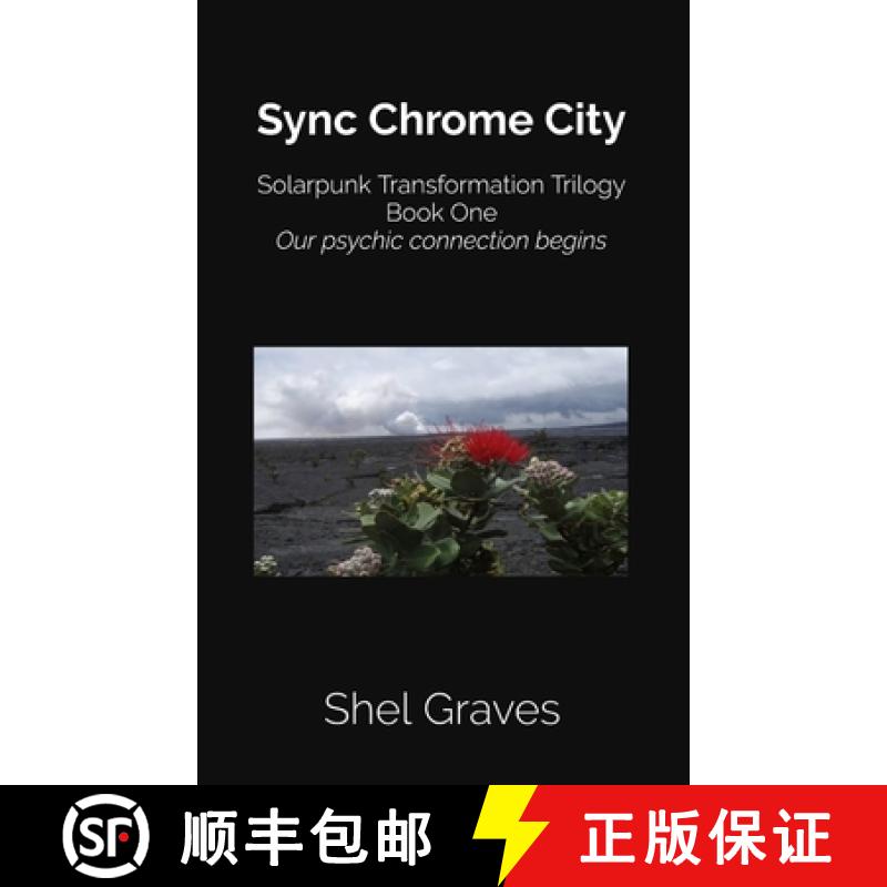 【3-4周达】Sync Chrome City [9798998548604]