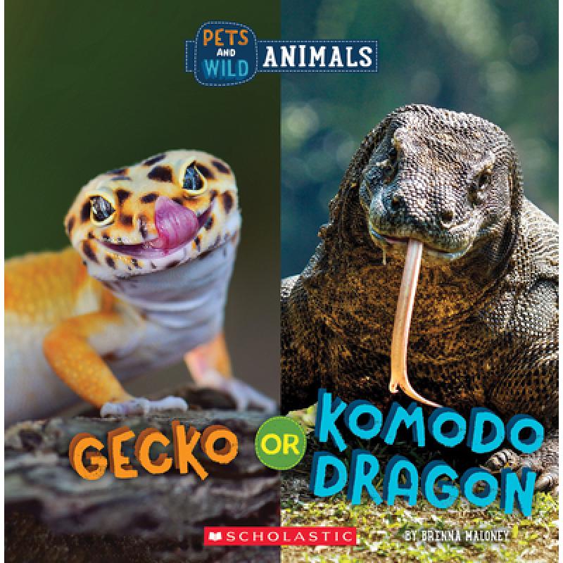 【4周达】Gecko or Komodo Dragon (Wild World: Pets and Wild Animals) [9781338899870] 书籍/杂志/报纸 儿童读物原版书 原图主图