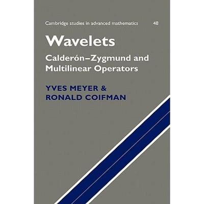 【4周达】Wavelets: Calderon-Zygmund and Multilinear Operators - Wavelets: Calderon-Zygmund and Multil... [9780521420013]