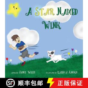 9781733813303 Star Wink Named 预订