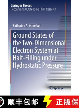 【3-4周达】Ground States of the Two-Dimensional Electron System at Half-Filling Under Hydrostatic Pre... [9783030263249]