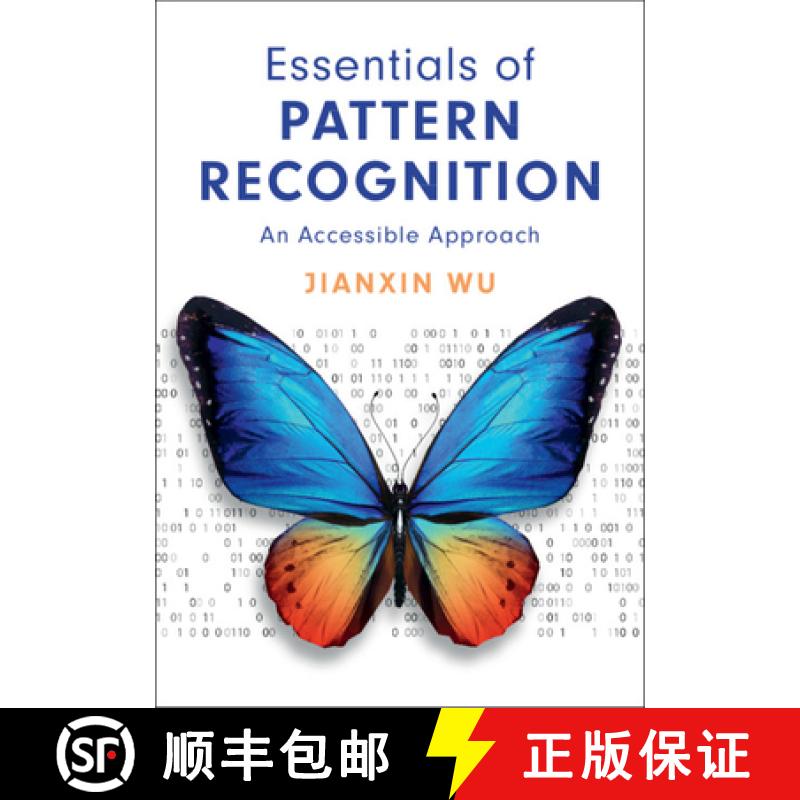 现货 模式识别概要 Essentials of Pattern Recognition: An Accessible Approach [9781108483469]