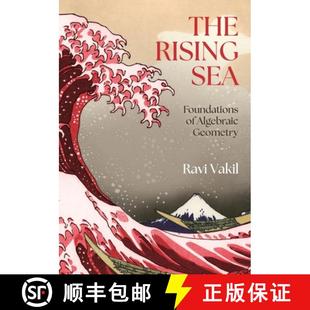Geometry The Foundations Sea 简装 Rising 9780691268675 现货 Algebraic 代数几何基础