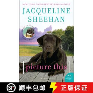 【3-4周达】Picture This: A Novel [9780062008121]