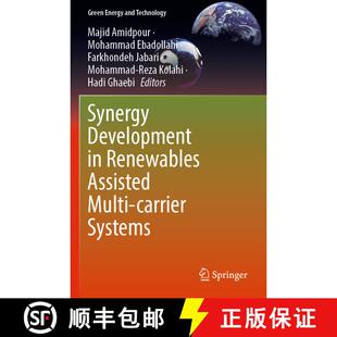 【3-4周达】Synergy Development in Renewables Assisted Multi-carrier Systems [9783030907228]