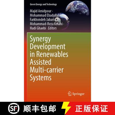 【3-4周达】Synergy Development in Renewables Assisted Multi-carrier Systems [9783030907228]