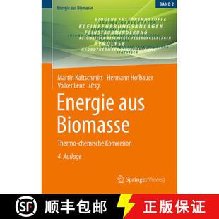 Energie Aus Konversion 9783658412159 Chemische 4周达 Thermo Biomasse