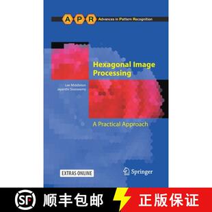 Hexagonal Image Approach 9781447158844 Practical 4周达 Processing