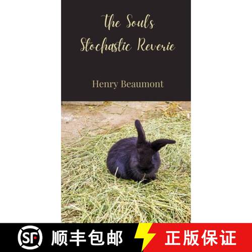【3-4周达】精装 The Soul's Stochastic Reverie [9783690802802]