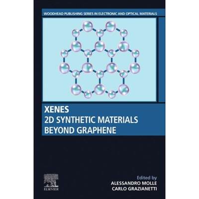 【4周达】Xenes: 2D Synthetic Materials Beyond Graphene [9780128238240]