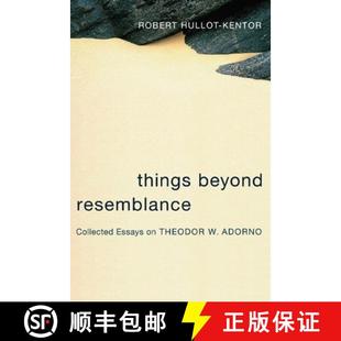 Essays Resemblance Adorno Things 4周达 9780231136594 Beyond Theodor Collected